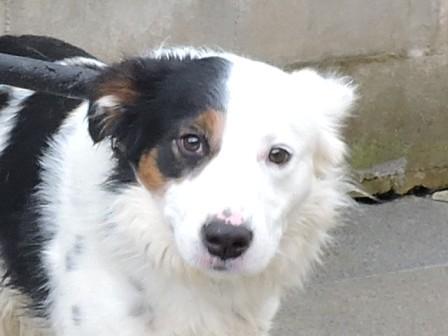 Max