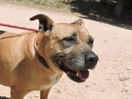 Tina